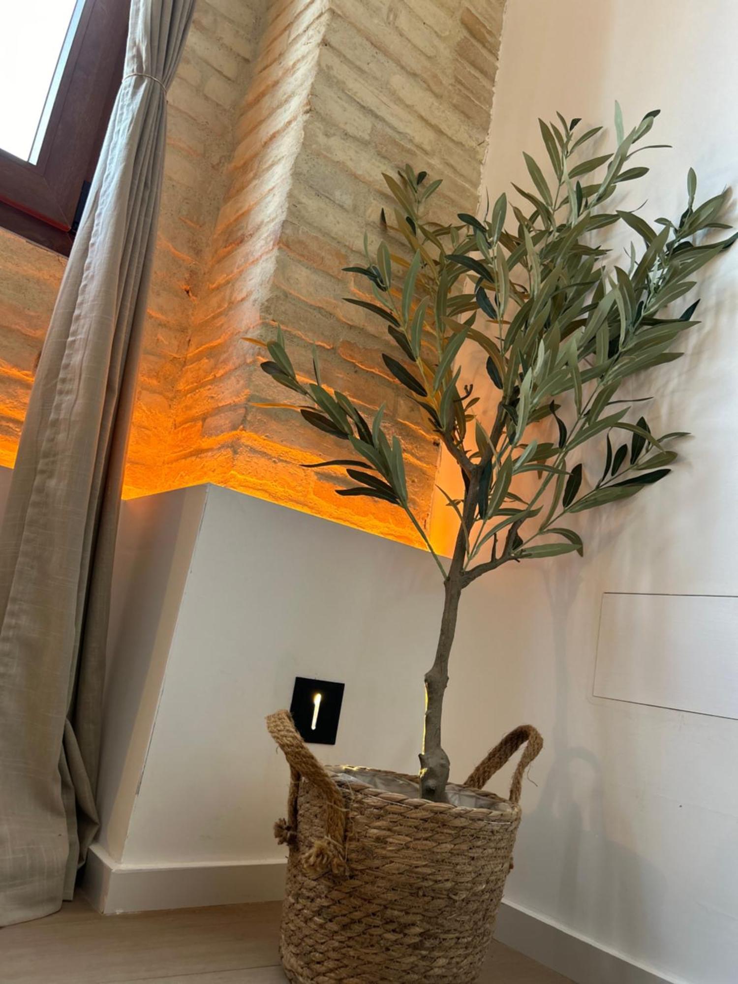 Apartments & Boutique Meraki Ontinyent Buitenkant foto